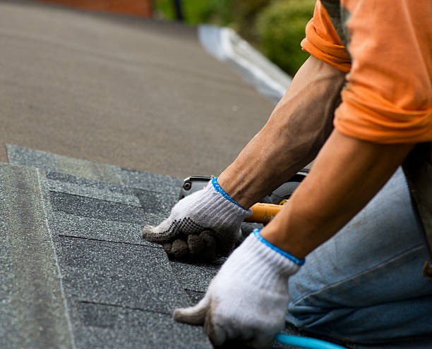 Best Gutter Installation and Roofing  in Knightdale, NC